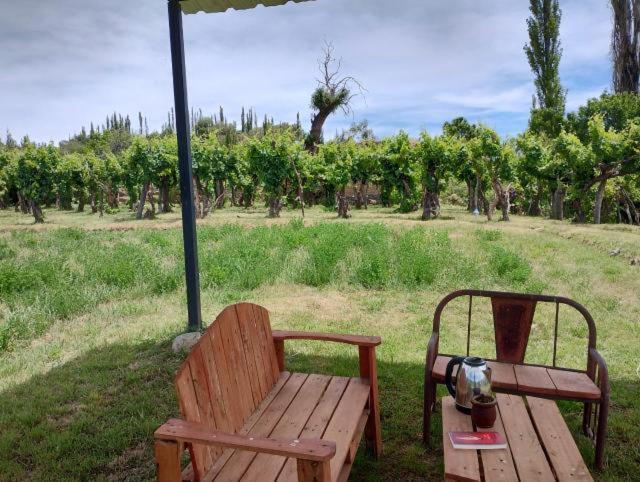 Cabana Girasoles Mi Campito Cachi Salta المظهر الخارجي الصورة