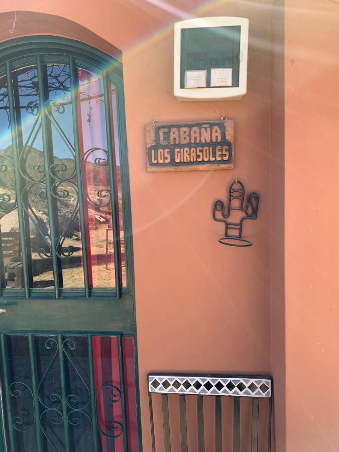 Cabana Girasoles Mi Campito Cachi Salta المظهر الخارجي الصورة